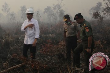 Presiden lebih fokus kerja ketimbang pikirkan "reshuffle"