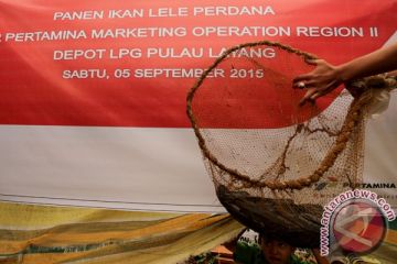 CSR PT Pertamina
