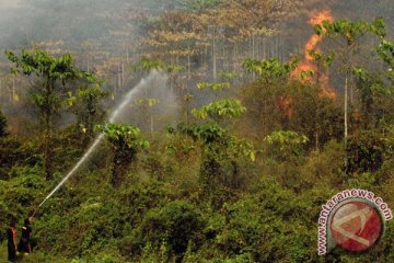 Hutan gunung Cikuray di Garut terbakar