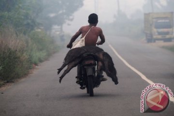 Kualitas udara Batam makin buruk