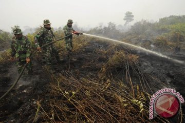 Jambi perpanjang status siaga darurat kebakaran hutan