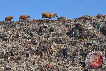 Krisis sampah kembali landa Lebanon