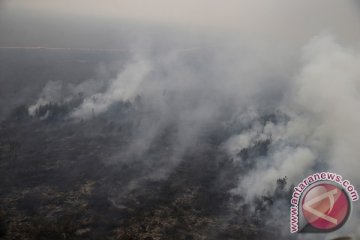 Kebakaran lahan di OKI