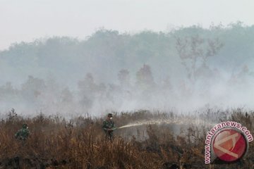 Kemarau panjang banyak ular besar berkeliaran