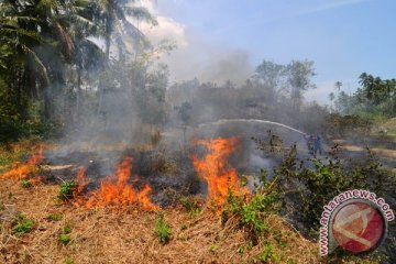 Korban kebakaran lahan mulai kekurangan pangan