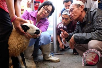 Jabar siapkan 260 pengawas hewan kurban