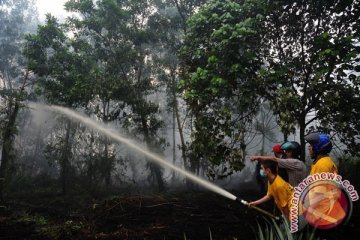 Polda Kalbar: tujuh perusahaan diduga bakar lahan