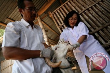 Jambi kekurangan dokter hewan