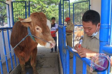 Dompet Dhuafa kirim hewan kurban untuk pengungsi Rohingya