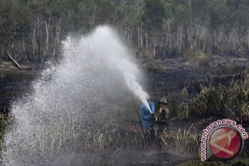 BRG utamakan retorasi lahan terbakar 2015