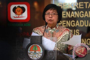 Berkas enam perusahaan pembakar hutan belum dilengkapi