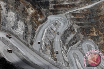 PT Freeport Indonesia  dan PT Amman Mineral Nusa Tenggara setor bea konsentrat Rp2,5 triliun