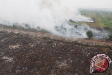 Pemerintah habis-habisan tanggulangi kebakaran lahan