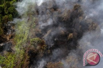 BENCANA ASAP - Titik panas di Babel meningkat