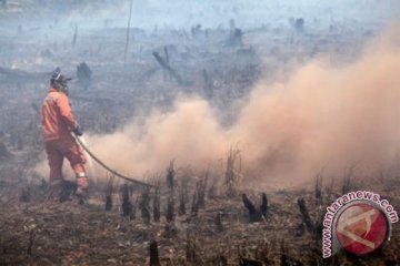 Pemadam kebakaran lahan dapat penghargaan di Hari Pahlawan