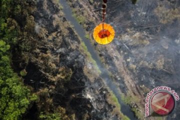 BMKG: 12 titik panas terdeteksi di Riau