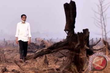 Presiden rapat di tengah hutan terbakar