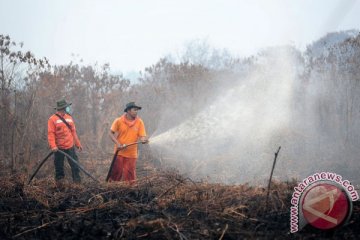 Kabut asap di Muara Teweh kembali pekat