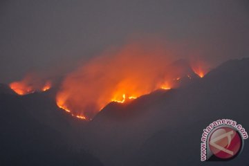 Taman Nasional Gunung Merbabu terbakar