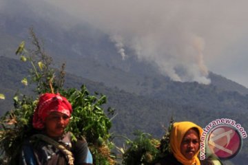 TNGM : kebakaran hutan Merapi ada unsur kesengajaan