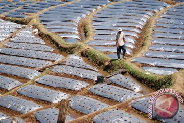 Denmark ingin tingkatkan kerja sama agribisnis Indonesia