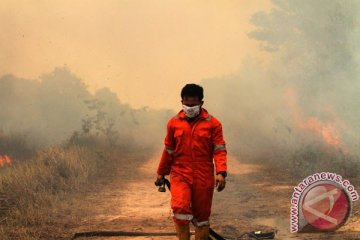 Sekat kanal lahan gambut harus dilengkapi pintu air