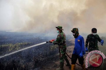 Pemadaman kebakaran hutan metode injeksi "paku bumi" Afsel paling efektif