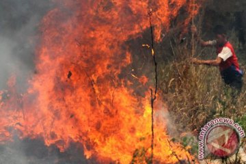 BENCANA ASAP - Indonesia bekerjasama dengan lima negara atasi asap