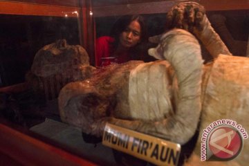 Museum Mesir pamerkan "Mumi Menjerit"