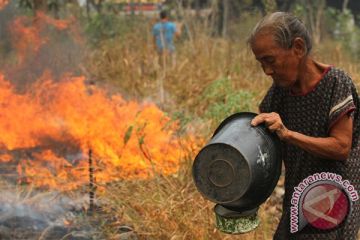 Kebakaran lahan