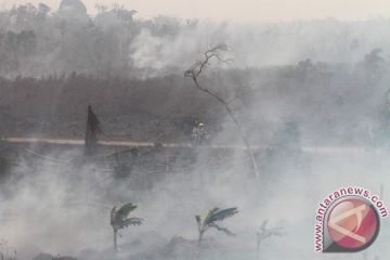 Kebakaran limbah perusahaan