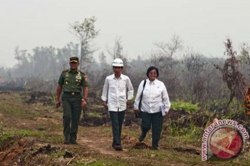 Presiden ingatkan pencegahan kebakaran hutan hars berkelanjutan
