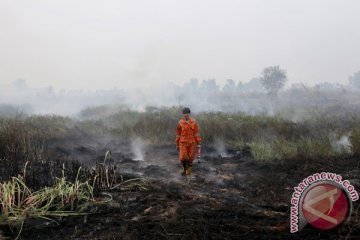 BENCANA ASAP - Sumatera Selatan paling luas terbakar