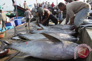 Yordania siap beli ikan tuna asal Gorontalo