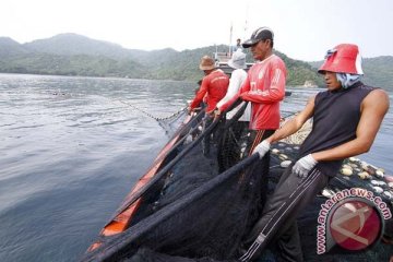 KKP tegaskan "trawl" tidak ramah lingkungan