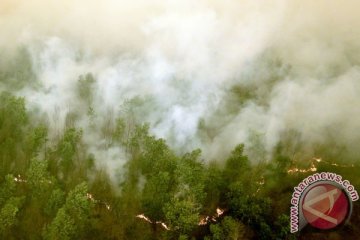 Titik panas Sumatera Selatan naik drastis 530