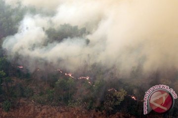 Bank Dunia: kebakaran hutan perlambat pertumbuhan Indonesia