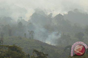Kebakaran landa kawasan hutan gunung Cipaga Karawang