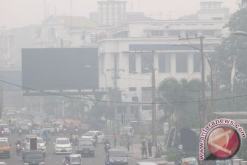 Tangkis ISPA dengan konsumsi buah dan sayur 