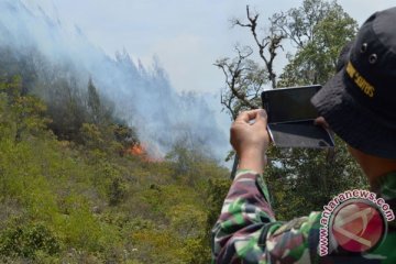 Kebakaran hutan Gunung Lawu merembet ke Ngawi