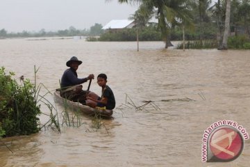 Warga Aceh Selatan mengungsi akibat banjir