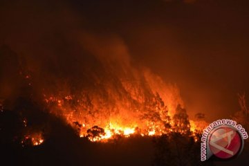 SAR disiagakan  di jalur api kebakaran Gunung Lawu