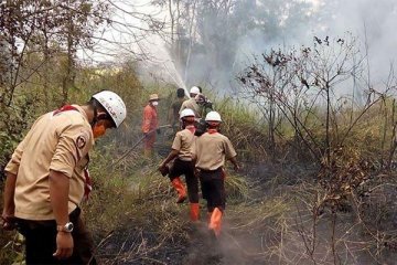 "Rumah oksigen" Pramuka untuk korban asap Riau