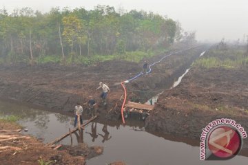 Peta akurat krusial untuk kelola gambut