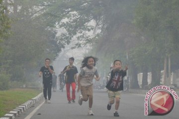 Kebakaran hutan dan lahan di Kalteng terus meluas