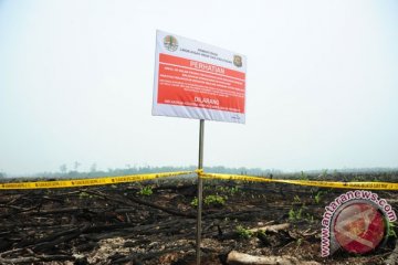 Pakar: Selamatkan lahan gambut dengan konservasi kubah