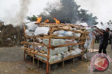 Pembawa 216 kilogram ganja divonis 15 tahun