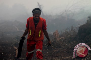 Pemadaman kebakaran lahan gambut