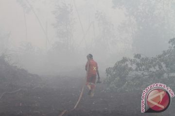 Pemadaman kebakaran lahan gambut