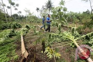 Lampung tindaklanjuti penyelesaian konflik manusia dan gajah